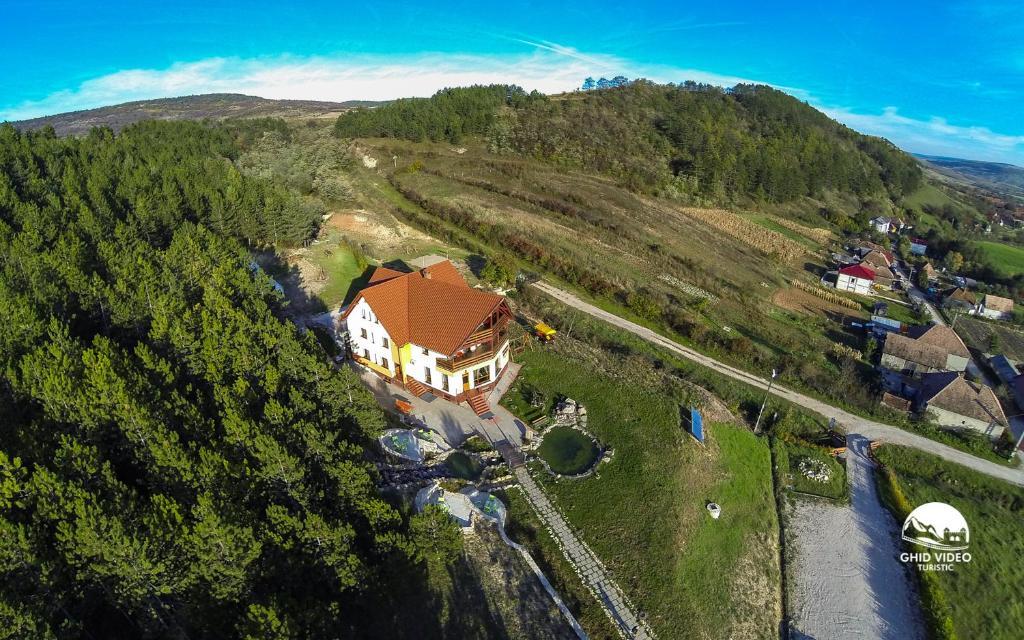 Pensiunea Armonia Nădăşelu Eksteriør bilde